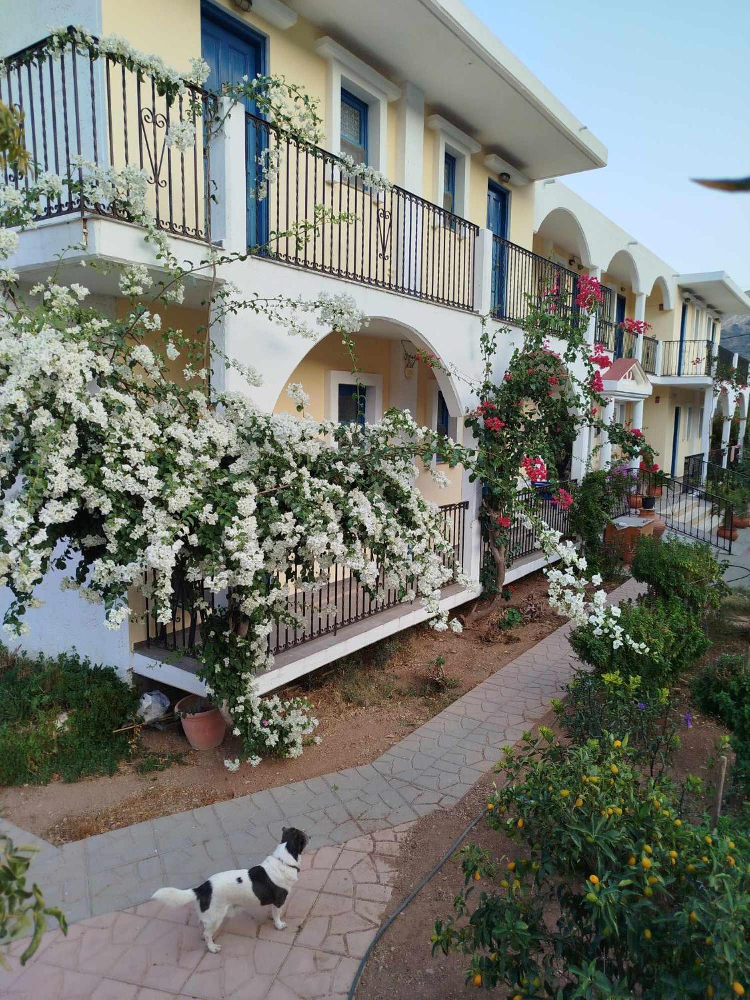Castellania Hotel Apartments Livadia  Exterior photo